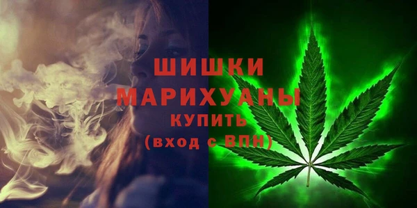 спайс Вяземский