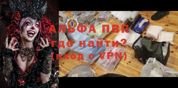 спайс Вяземский