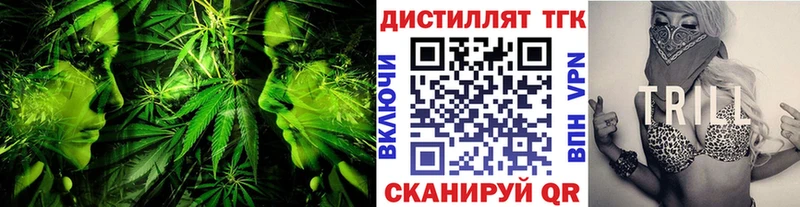 МЕГА онион Северодвинск ТГК концентрат