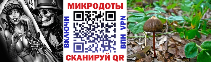 Псилоцибиновые грибы MAGIC MUSHROOMS  Северодвинск 