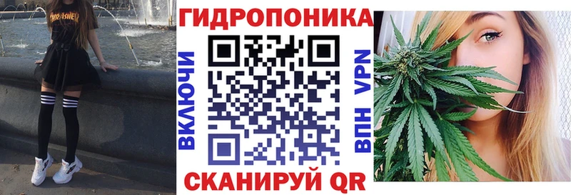 Бошки марихуана ГИДРОПОН  darknet наркотические препараты  Северодвинск  мега зеркало 
